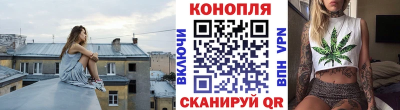 Купить закладки  Советская Гавань  Конопля индика 